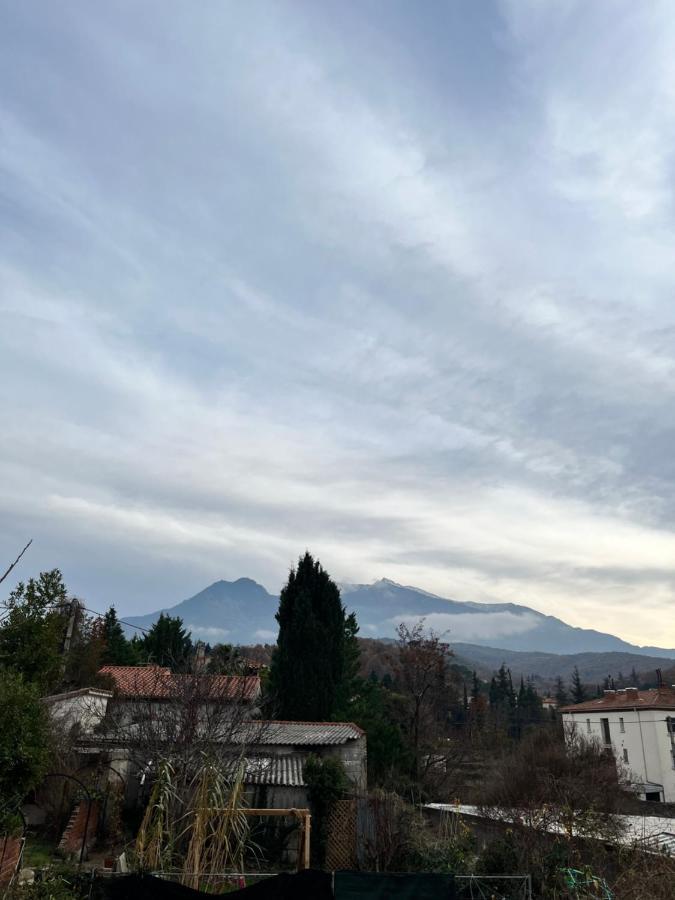 Le Cosy En Coeur De Ville Prades  Exteriör bild
